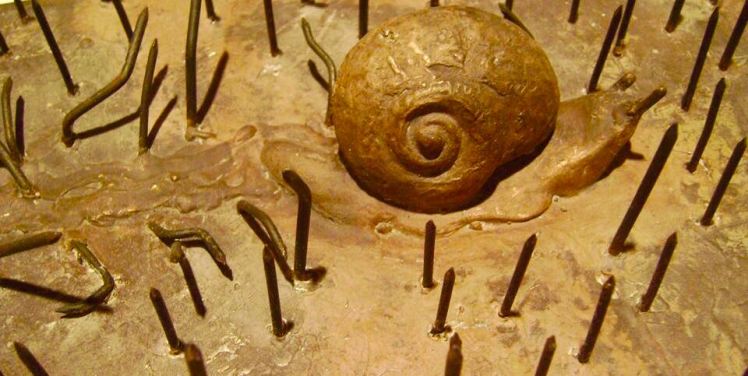 8bdef5cf-7d58-4715-858b-43b5cd9f8204